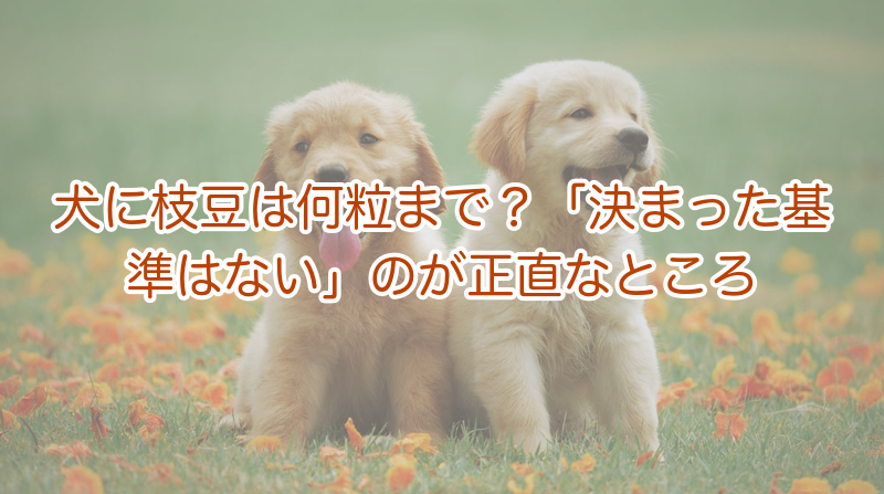 犬に枝豆は何粒まで？「決まった基準はない」のが正直なところ