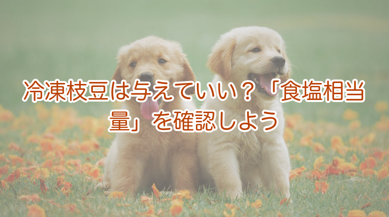冷凍枝豆は与えていい？「食塩相当量」を確認しよう