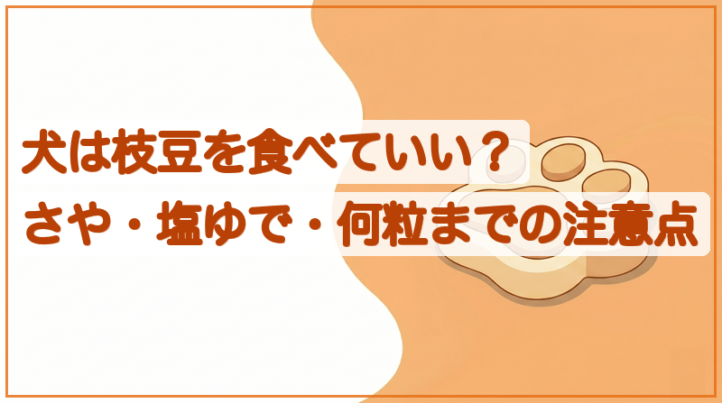 犬は枝豆を食べていい？何粒まで・さや・塩ゆでの注意点をイメージできる記事のメイン画像