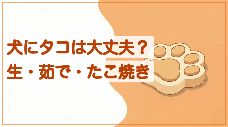 犬にタコは大丈夫？生・茹で・たこ焼きの注意点と量の目安をイメージできる記事のメイン画像