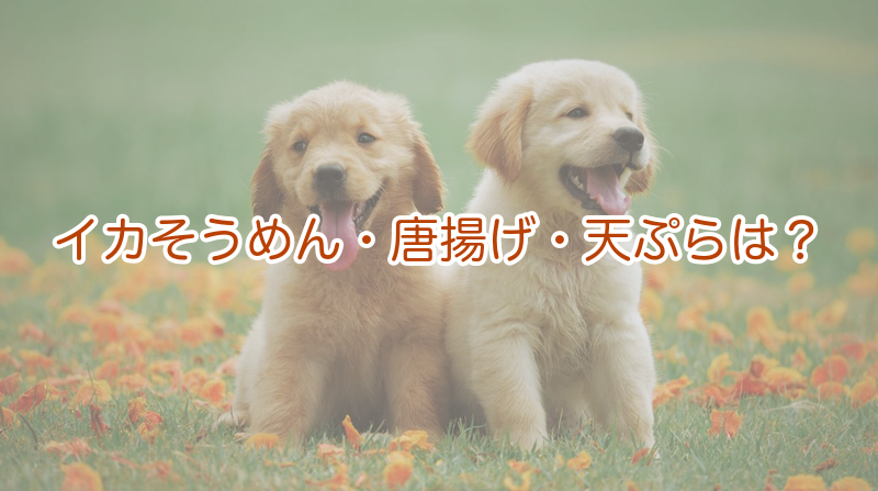 イカそうめん・唐揚げ・天ぷらは？
