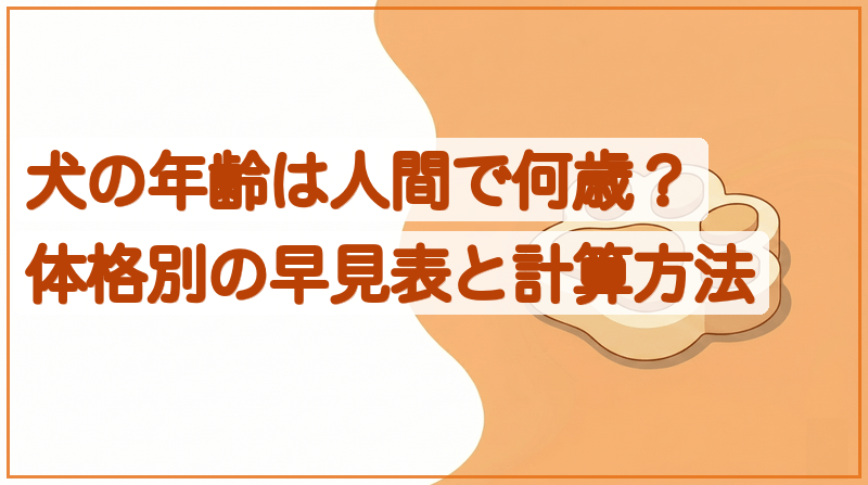 犬の年齢は人間で何歳？体格別の早見表と計算方法をイメージできる記事のメイン画像