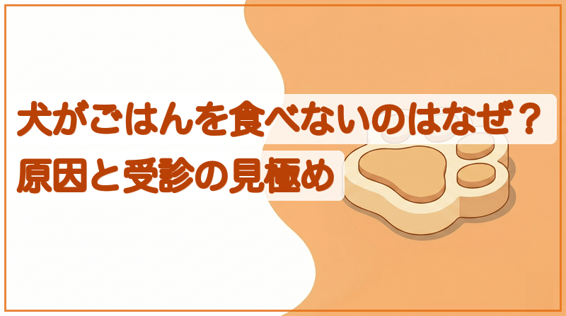 犬がごはんを食べないのはなぜ？原因と受診の見極めをイメージできる記事のメイン画像