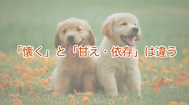 「懐く」と「甘え・依存」は違う