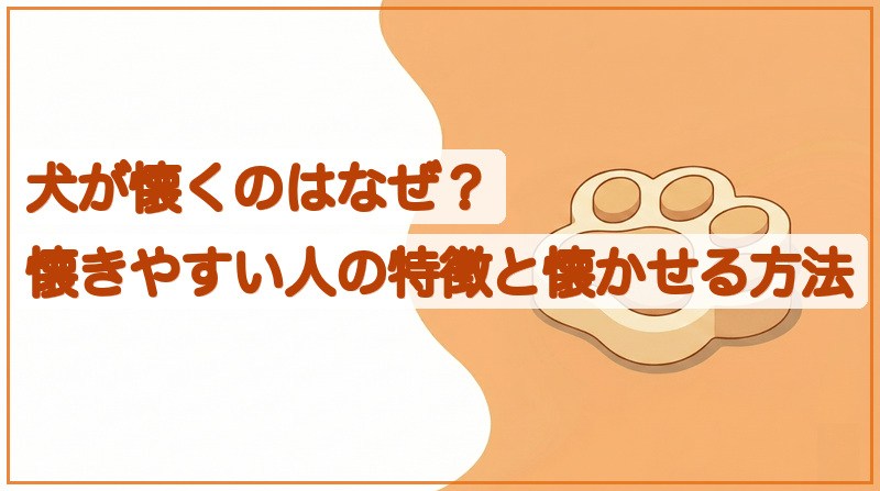 犬が懐くのはなぜ？懐きやすい人の特徴と懐かせる方法をイメージできる記事のメイン画像