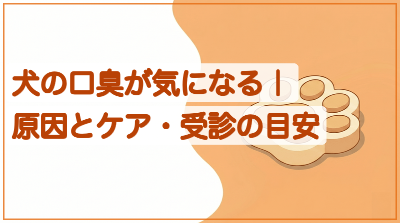 犬の口臭はなぜ？においでわかる病気とケア方法をイメージできる記事のメイン画像
