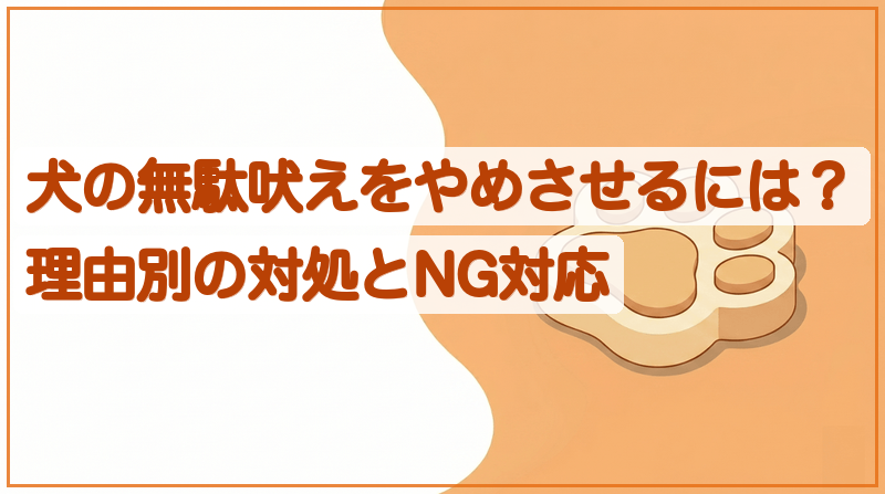 犬の無駄吠えをやめさせるには？理由別の対処とNG対応をイメージできる記事のメイン画像