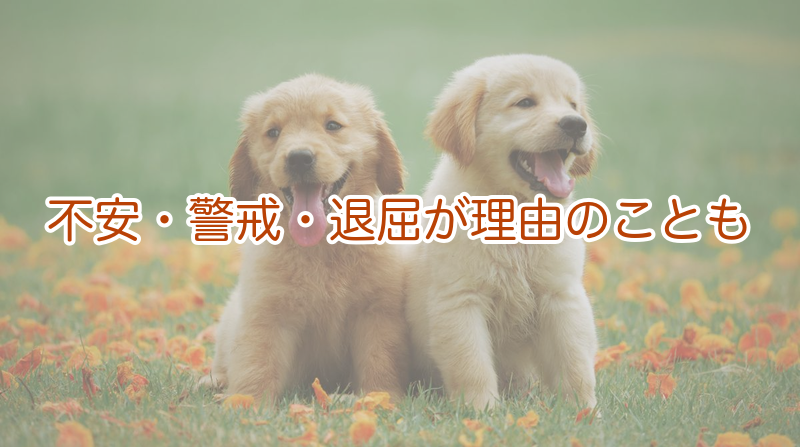 不安・警戒・退屈が理由のことも