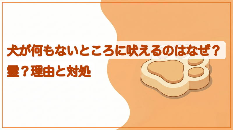犬が何もないところに吠えるのはなぜ？霊？理由と対処をイメージできる記事のメイン画像