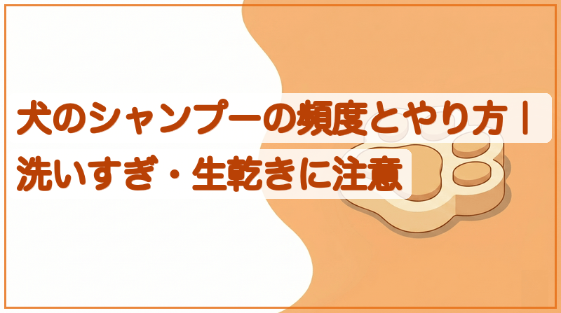 犬のシャンプーの頻度とやり方｜洗いすぎ・生乾きに注意をイメージできる記事のメイン画像