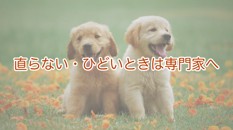 直らない・ひどいときは専門家へ