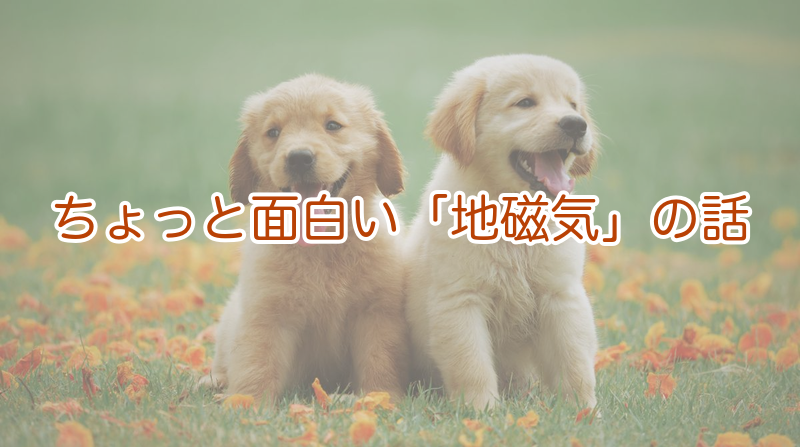 地磁気に体を合わせるという面白い説