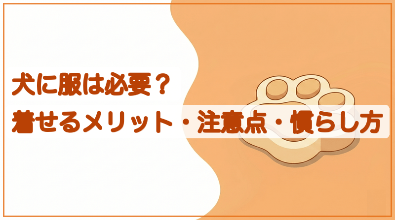 犬に服は必要？着せるメリットと注意点・嫌がる時の慣らし方をイメージできる記事のメイン画像