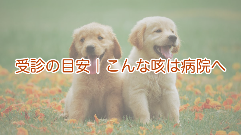 受診の目安｜病院へ行くべき咳の特徴