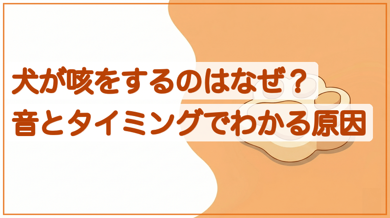 犬が咳をするのはなぜ？音とタイミングでわかる原因をイメージできる記事のメイン画像