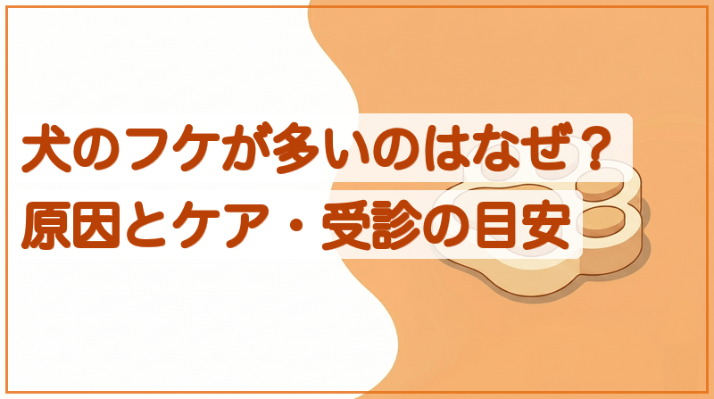 犬のフケが多いのはなぜ？原因と正しいケア・受診の目安をイメージできる記事のメイン画像