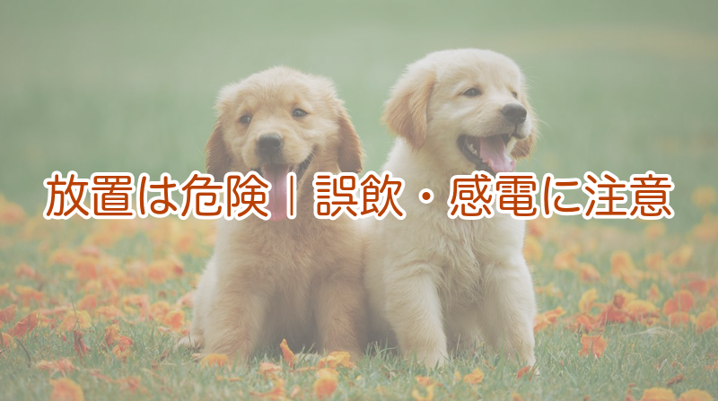 放置は危険｜誤飲・感電に注意