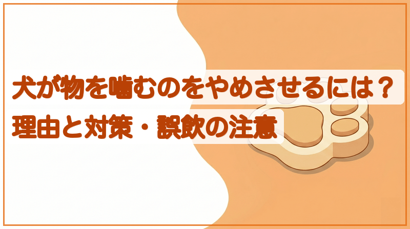 犬が物を噛むのをやめさせるには？理由と対策・誤飲の注意をイメージできる記事のメイン画像
