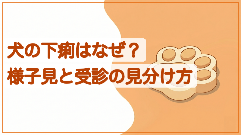 犬の下痢はどこまで様子見？緊急度と便の色でわかることをイメージできる記事のメイン画像