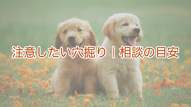 注意したい穴掘り｜相談の目安