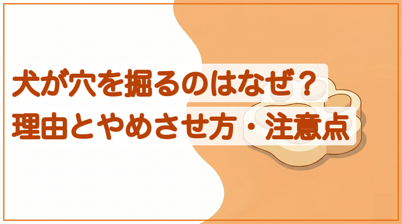 犬が穴を掘るのはなぜ？理由とやめさせ方・注意点をイメージできる記事のメイン画像