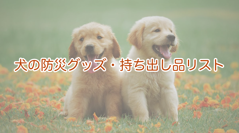 犬の防災グッズ・持ち出し品リスト