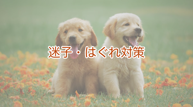 迷子・はぐれ対策