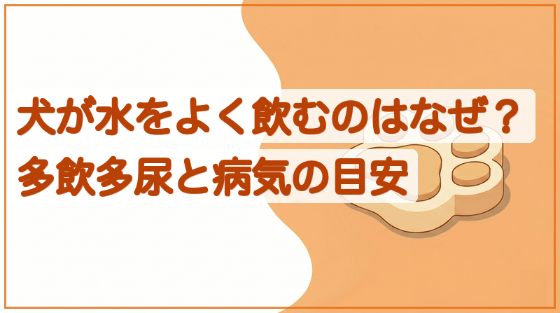 犬が水をよく飲むのはなぜ？多飲多尿と病気の目安をイメージできる記事のメイン画像