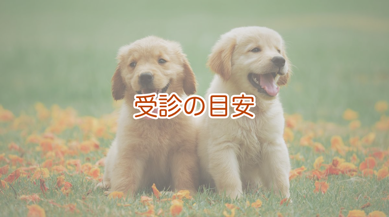 よだれが多いときに考えられる原因