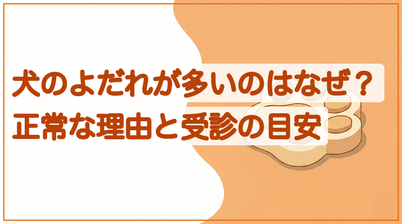 犬のよだれが多いのは病気？緊急サインと受診の目安をイメージできる記事のメイン画像