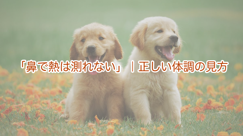 「鼻で熱は測れない」｜正しい体調の見方