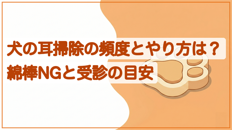 犬の耳掃除の頻度とやり方は？綿棒NGと受診の目安をイメージできる記事のメイン画像