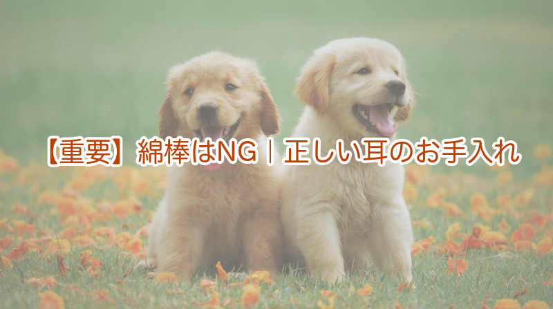 【重要】綿棒はNG｜正しい耳のお手入れ