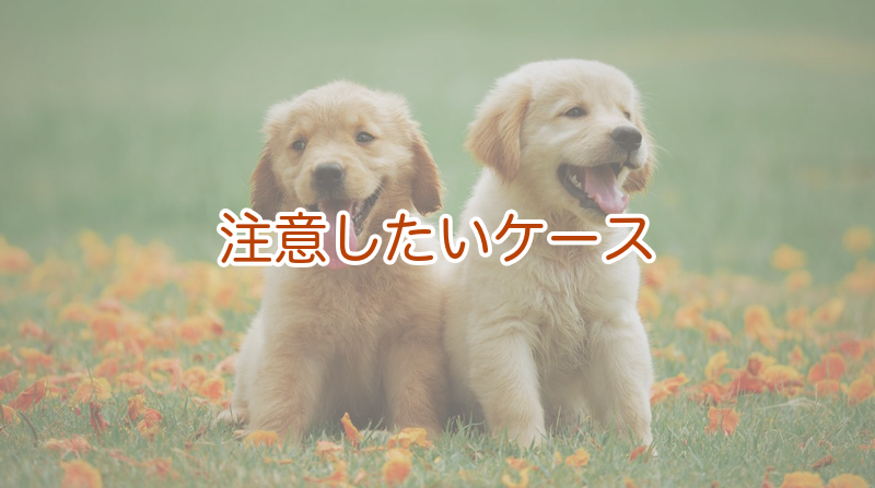 動物病院へ相談したい食糞のサイン