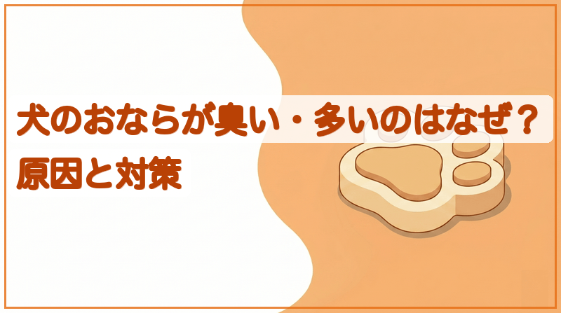 犬のおならが臭い・よく出るのはなぜ？原因と対策をイメージできる記事のメイン画像