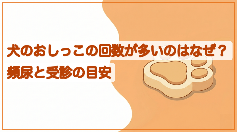 犬のおしっこの回数が多いのはなぜ？頻尿と受診の目安をイメージできる記事のメイン画像