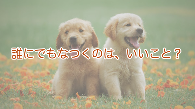 誰にでもなつくのは、いいこと？