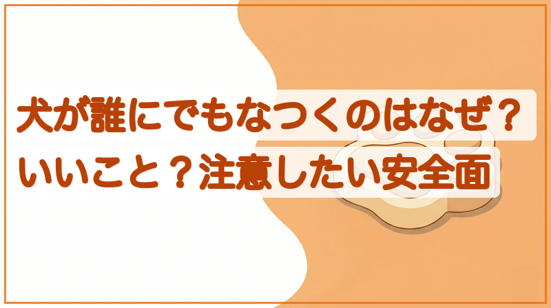 犬が誰にでもなつくのはなぜ？いいこと？注意したい安全面をイメージできる記事のメイン画像