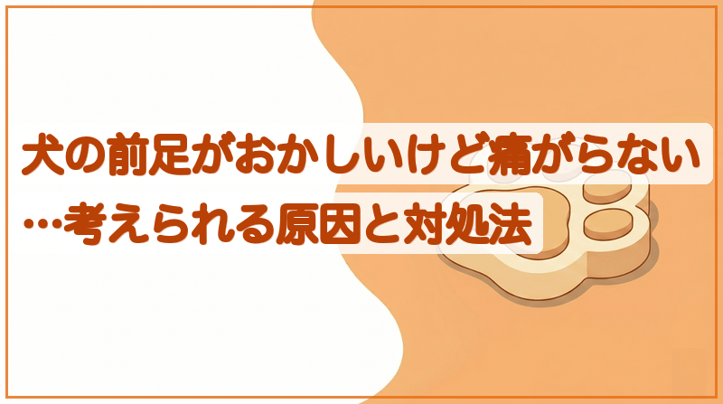 犬の前足がおかしいけど痛がらない…考えられる原因と対処法をイメージできる記事のメイン画像