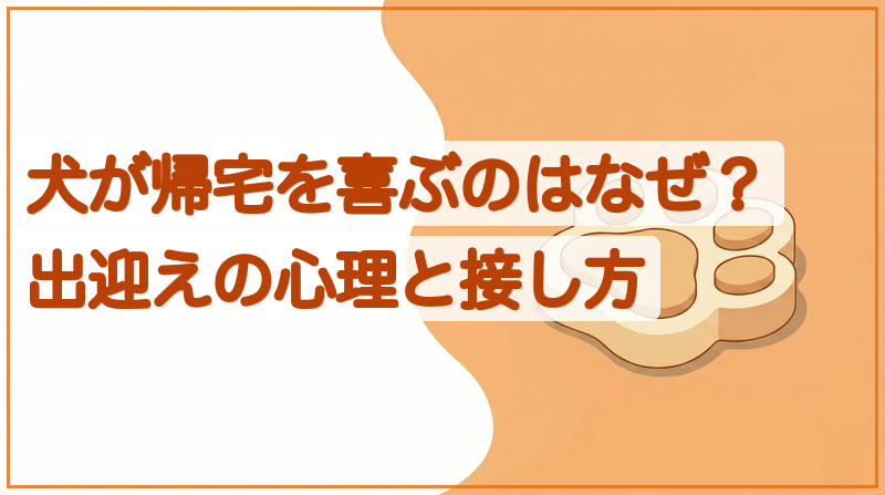 犬が帰宅を喜ぶのはなぜ？出迎えの心理と接し方をイメージできる記事のメイン画像