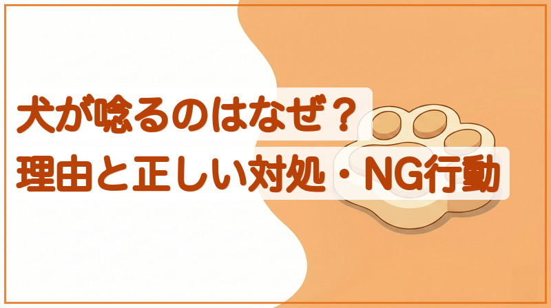 犬が唸るのはなぜ？理由と正しい対処・NG行動をイメージできる記事のメイン画像