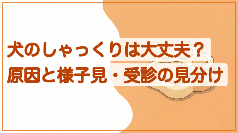 犬のしゃっくりは大丈夫？原因と様子見・受診の見分けをイメージできる記事のメイン画像