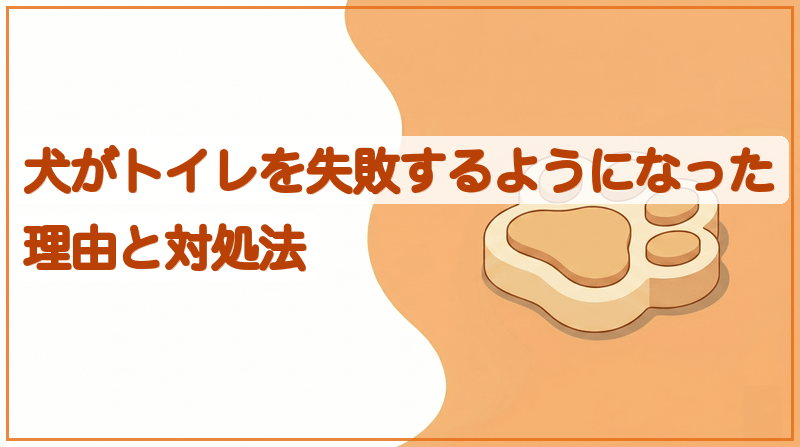 犬がトイレを失敗するようになった理由と対処法をイメージできる記事のメイン画像