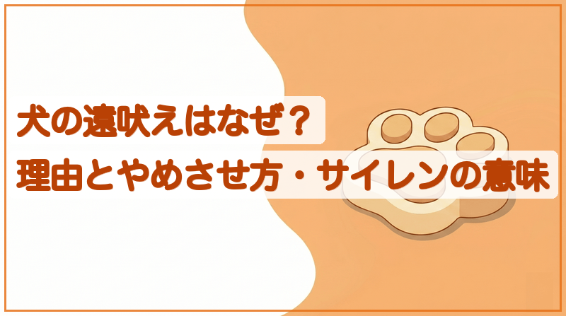犬の遠吠えはなぜ？理由とやめさせ方、サイレンに反応する意味をイメージできる記事のメイン画像