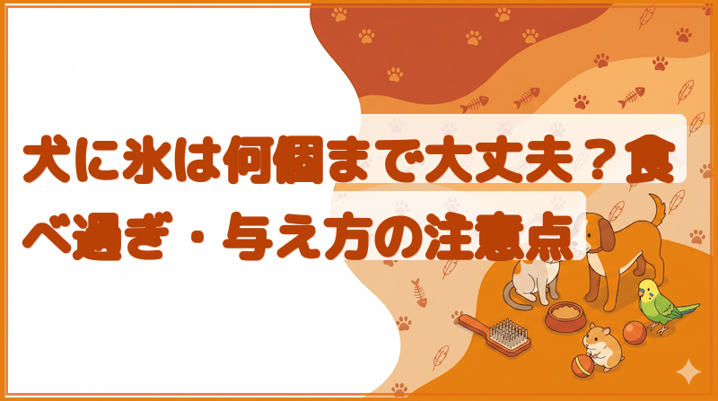 犬に氷は何個まで大丈夫？食べ過ぎ・与え方の注意点をイメージできる記事のメイン画像