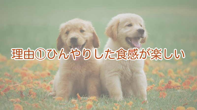 理由①ひんやりした食感が楽しい