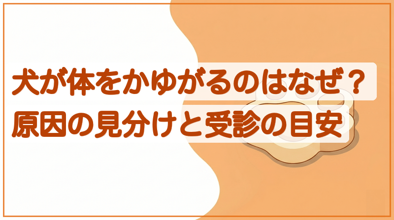 犬が体をかゆがるのはなぜ？原因の見分けと受診の目安をイメージできる記事のメイン画像