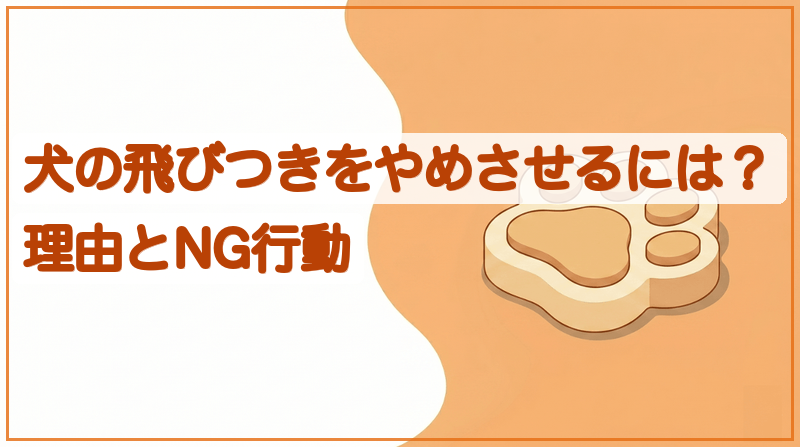 犬の飛びつきをやめさせるには？理由とNG行動をイメージできる記事のメイン画像