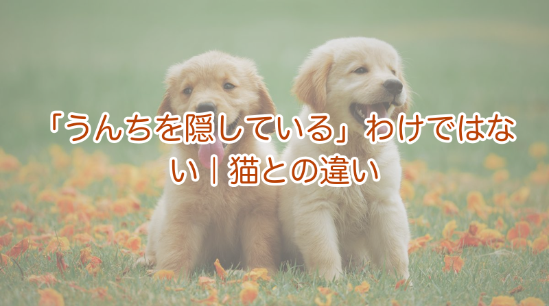 「うんちを隠している」わけではない｜猫との違い