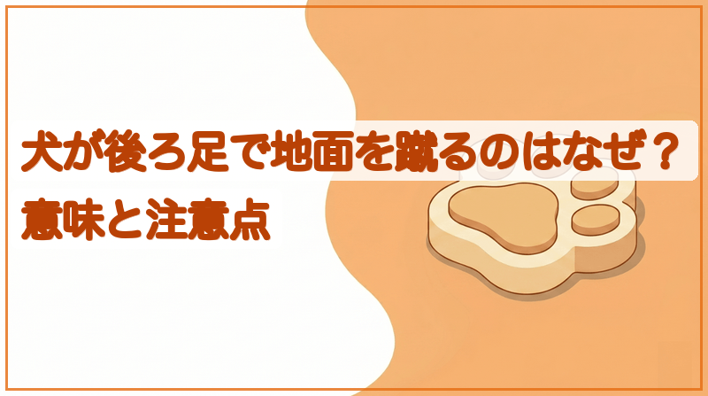 犬が排泄後に後ろ足で地面を蹴るのはなぜ？意味と注意点をイメージできる記事のメイン画像